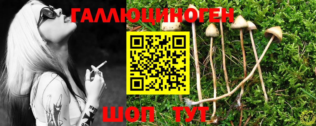 Псилоцибиновые грибы GOLDEN TEACHER  Псилоцибиновые грибы Psilocybine cubensis  Корсаков  Вход с VPN 